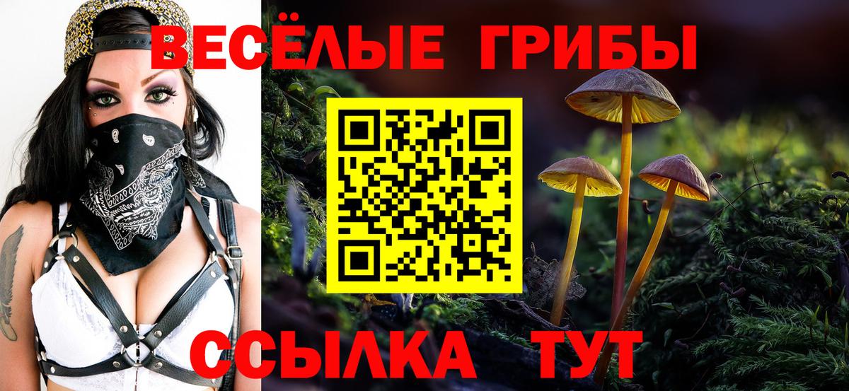 Галлюциногенные грибы Magic Shrooms  Вход с VPN  Удомля 