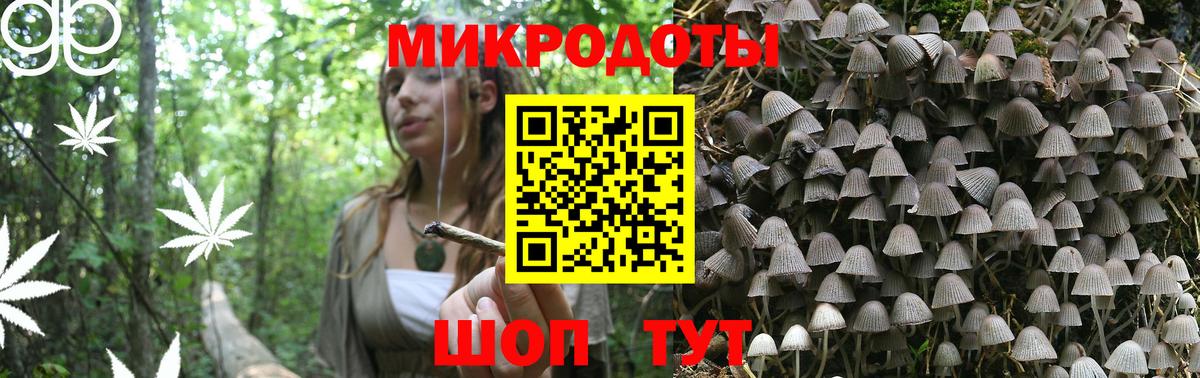 Псилоцибиновые грибы GOLDEN TEACHER Удомля
